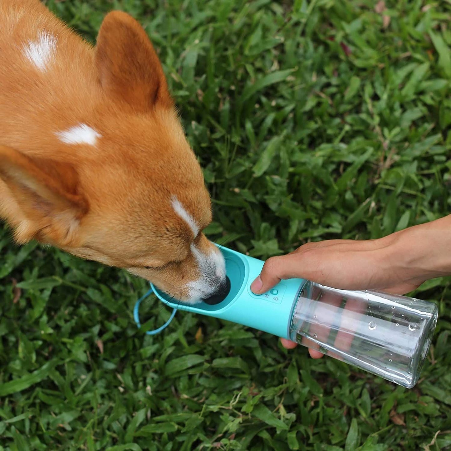 Hydro-Pup