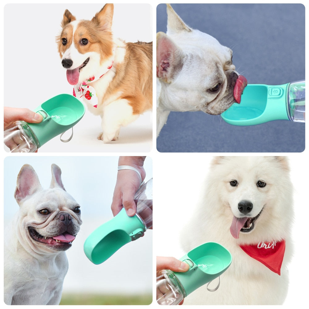 Hydro-Pup
